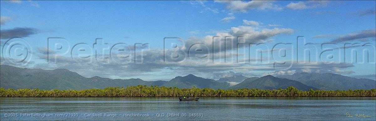 Peter Bellingham Photography Cardwell Range - Hinchinbrook - QLD (PBH4 00 14559)
